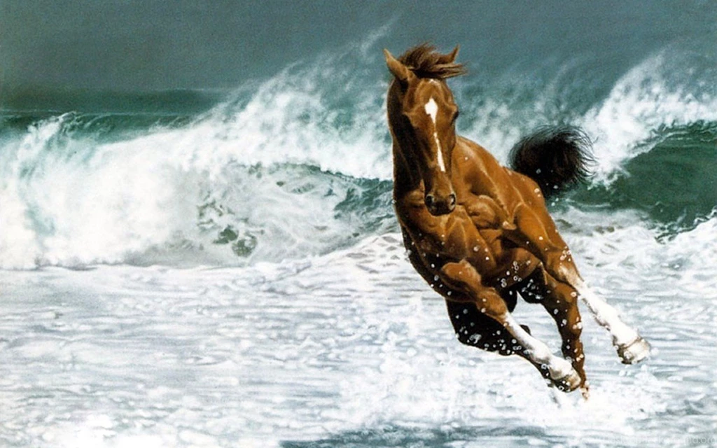Horses Wallpapers