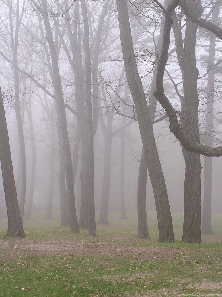 Foggy Backgrounds 5 By Loopyker stock On DeviantArt