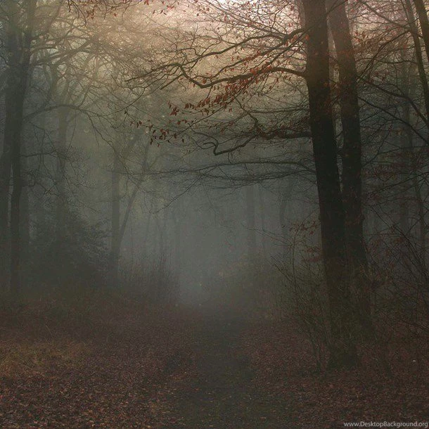 Art, Awesome, Background, Beautiful, Beauty, Dark, Dream, Fog ...