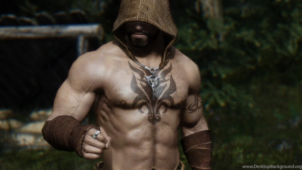 Skyrim Nexus Mods And Community