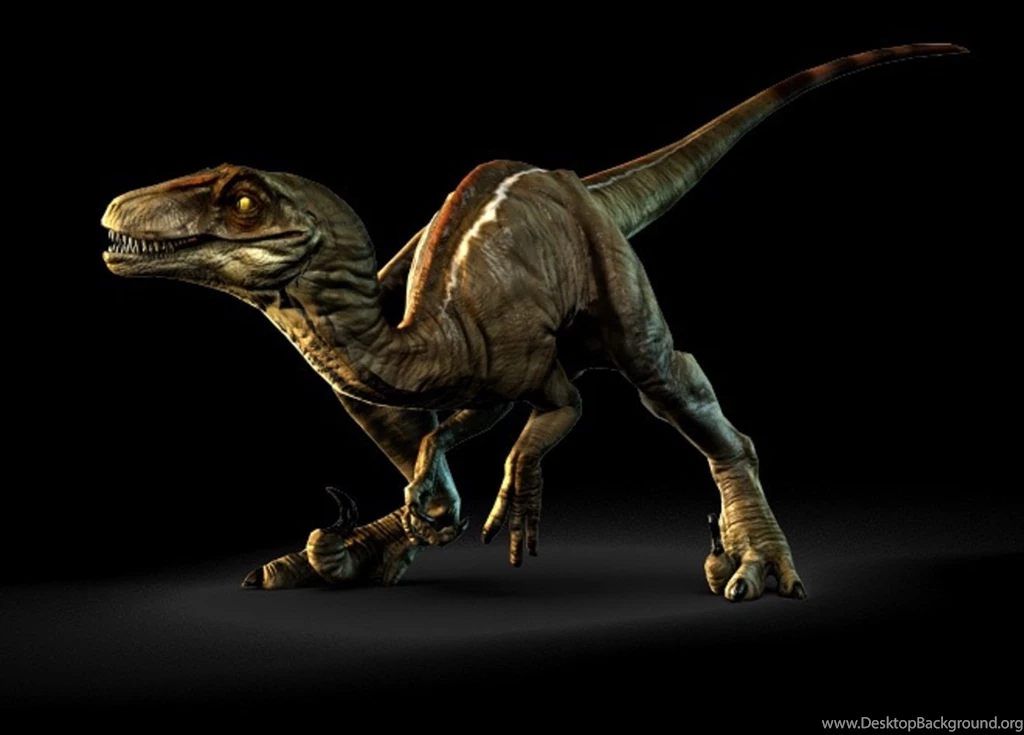 Dinosaur Wallpapers 4 Best Wallpapers Collection