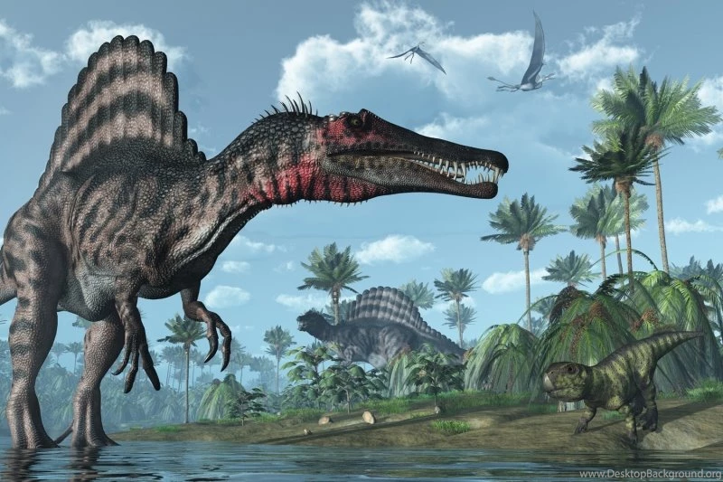 Compare Prices On Wall Paper Bedroom Of Dinosaurs Online Shopping ...