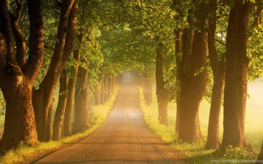 Interesting Sharp Lovely Scenery Desktop Wallpapers Windows 7 ...