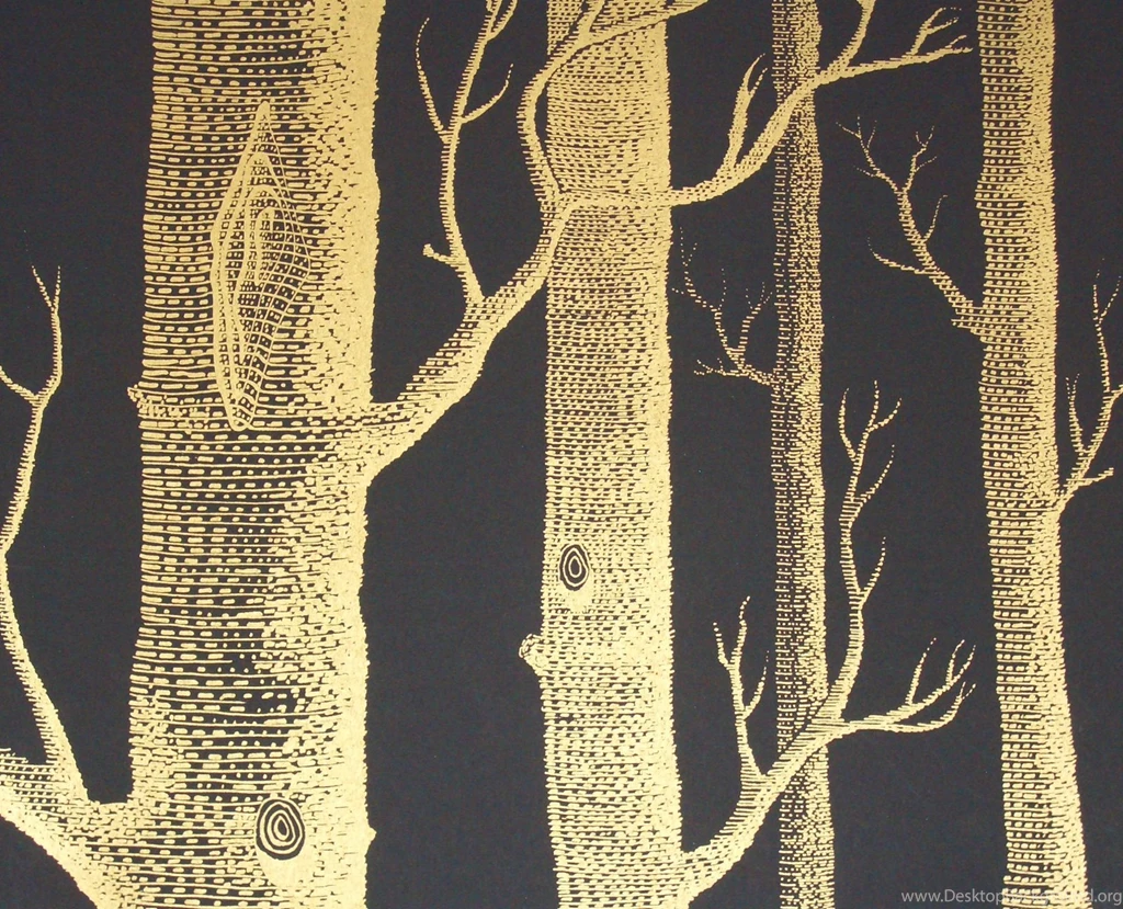 Papier Peint On Pinterest