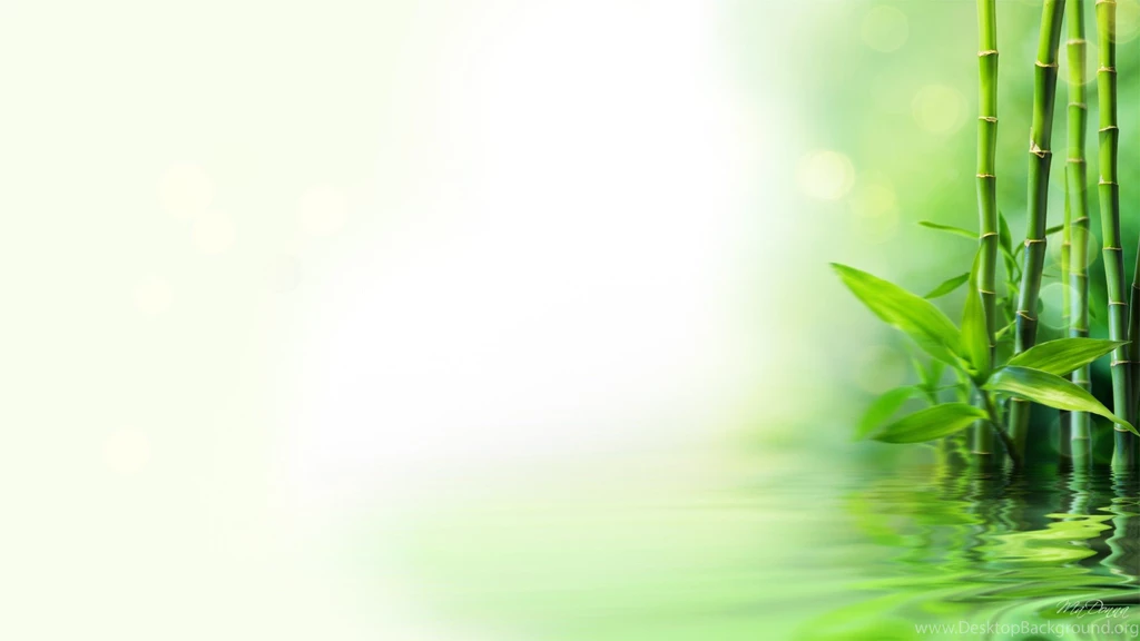 Bamboo Wallpapers