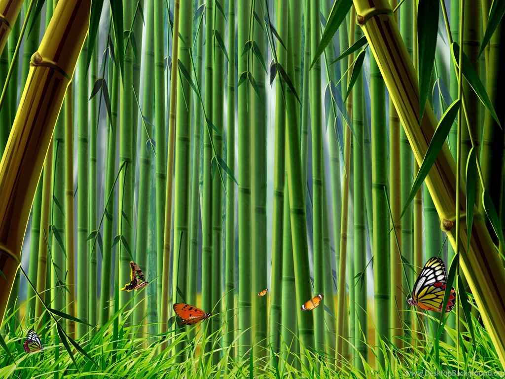 Bamboo Wallpapers