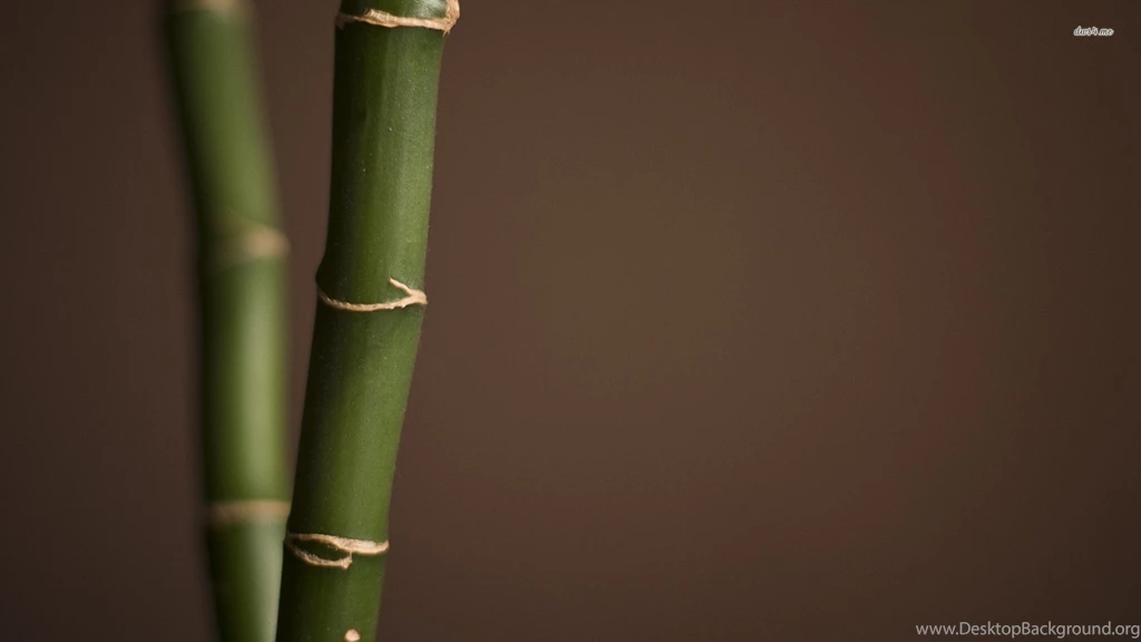 High Resolution Bamboo Computer Backgrounds Full Size ...