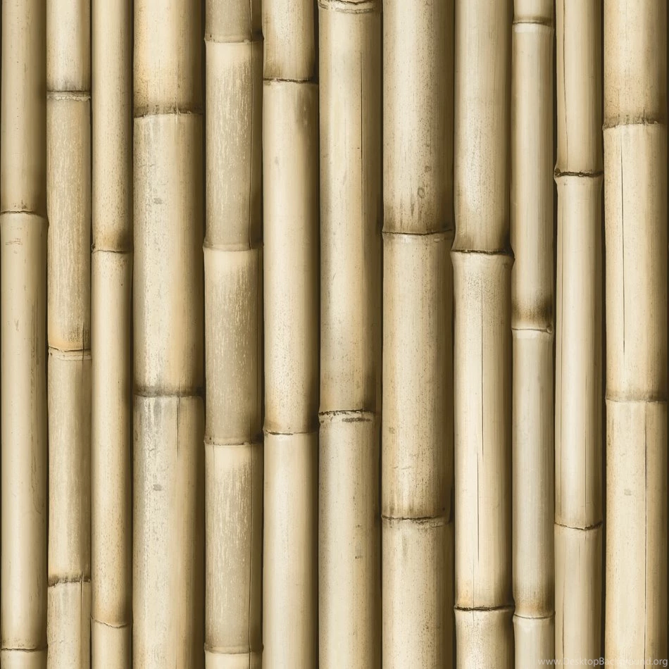 Designer Wallpapers Bamboo Koziel MurivaMuriva