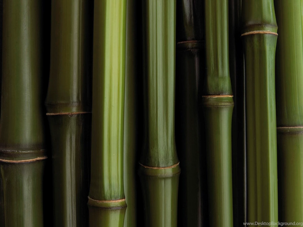 Bamboo Texture Wallpapers HD 1951 1600x1200 UMad.com