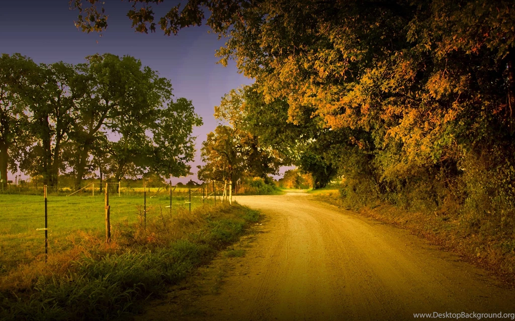 Beautiful Sight Dirty Road And Trees Hd Wallpapers Free Download ...