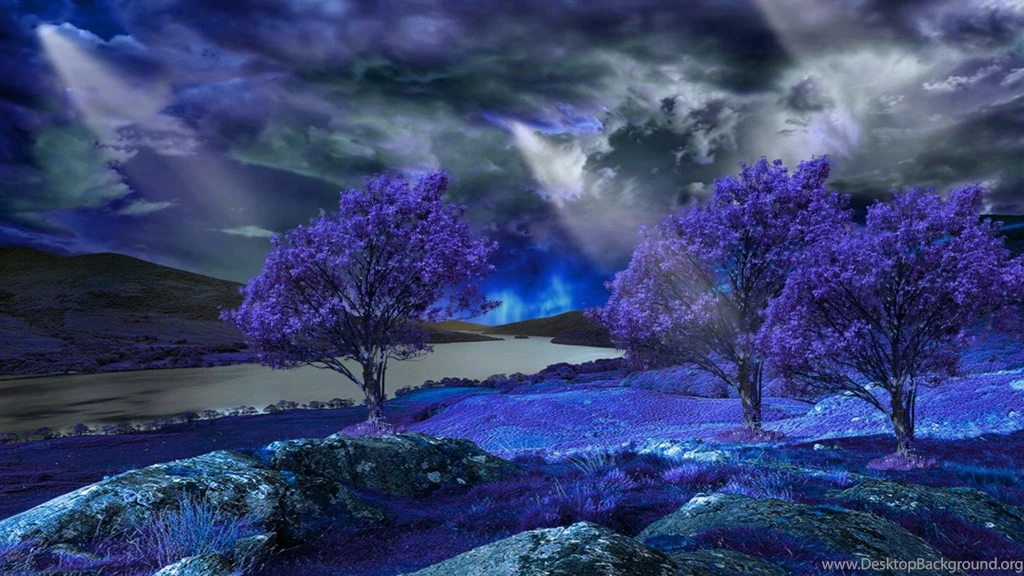 Global Pictures Gallery: Butterfly Desktop Wallpapers