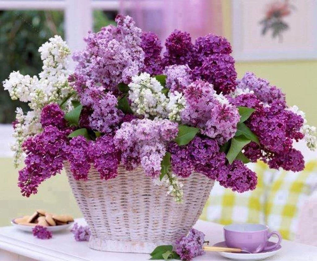 LILAC WALLPAPER (
