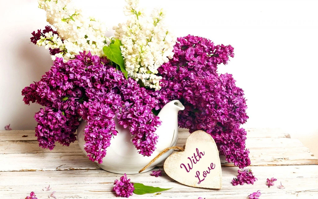 Lilac Flowers Brilliant Besides White Colour Of Others