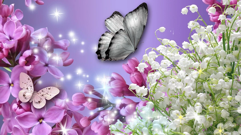 Lilac Fever >> HD Wallpaper, Get It Now!