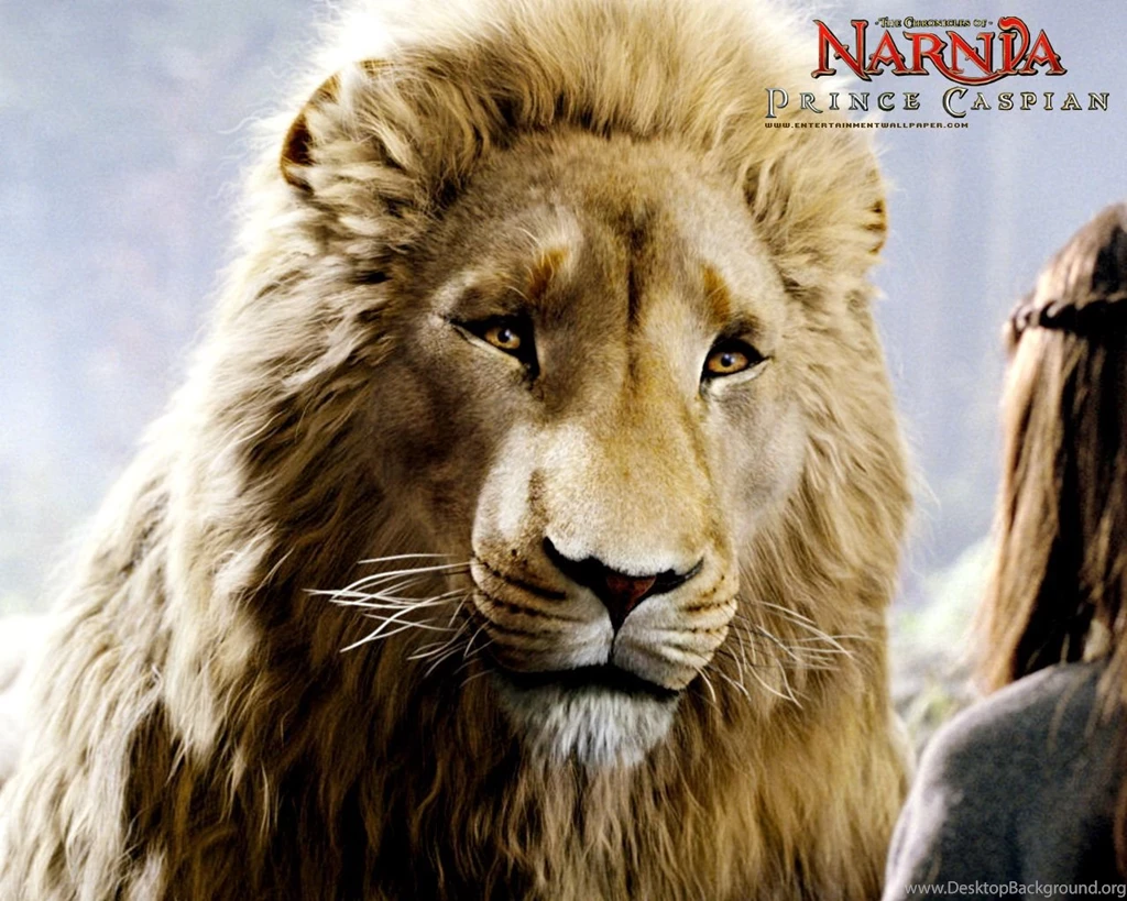 Chronicles Of Narnia Desktop Wallpapers