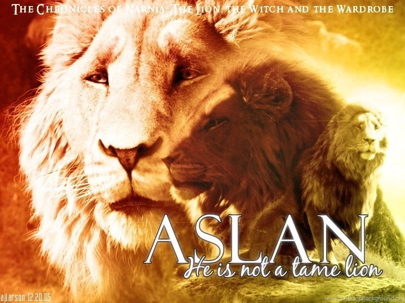 Aslan   Aslan Wallpapers (18376541)   Fanpop