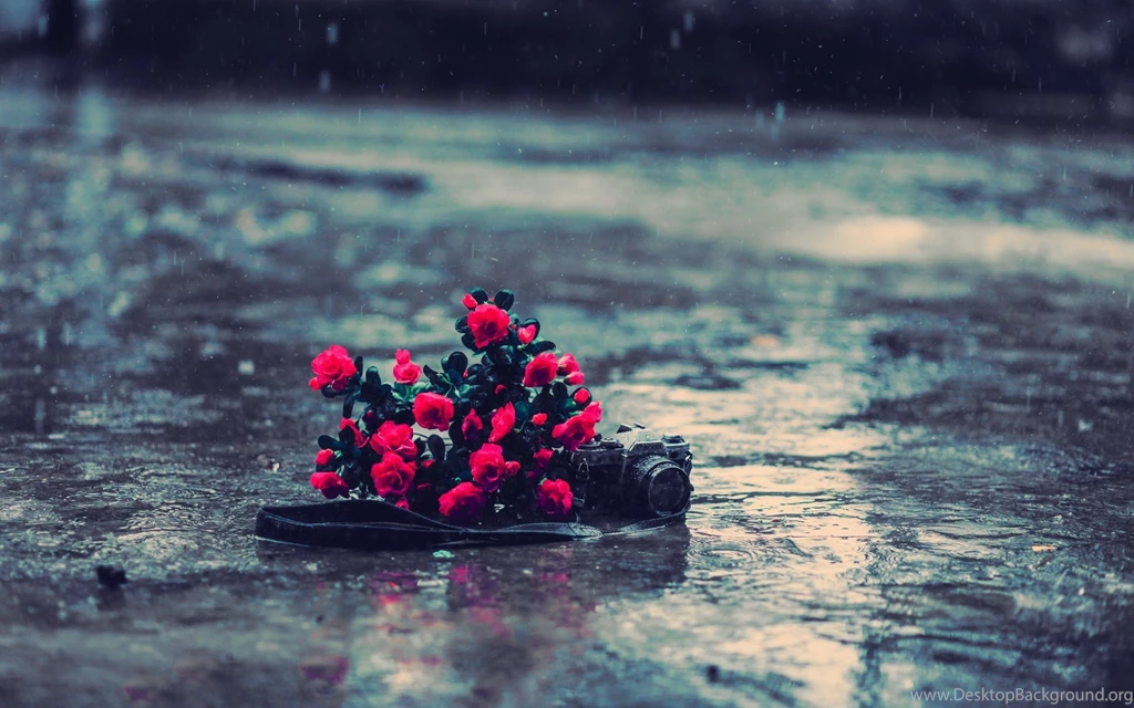 21 Wonderful HD Raindrops Wallpapers HDWallSource.com