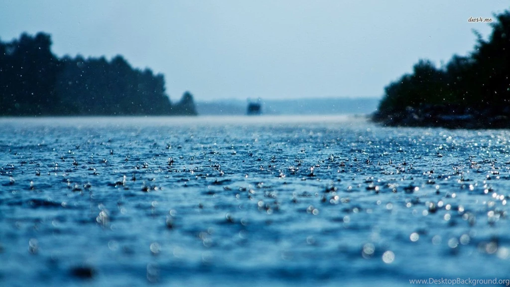 Top Rain Drops Vector Wallpapers
