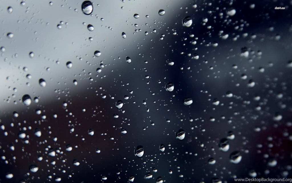 Rain Drops On The Grass Wallpapers