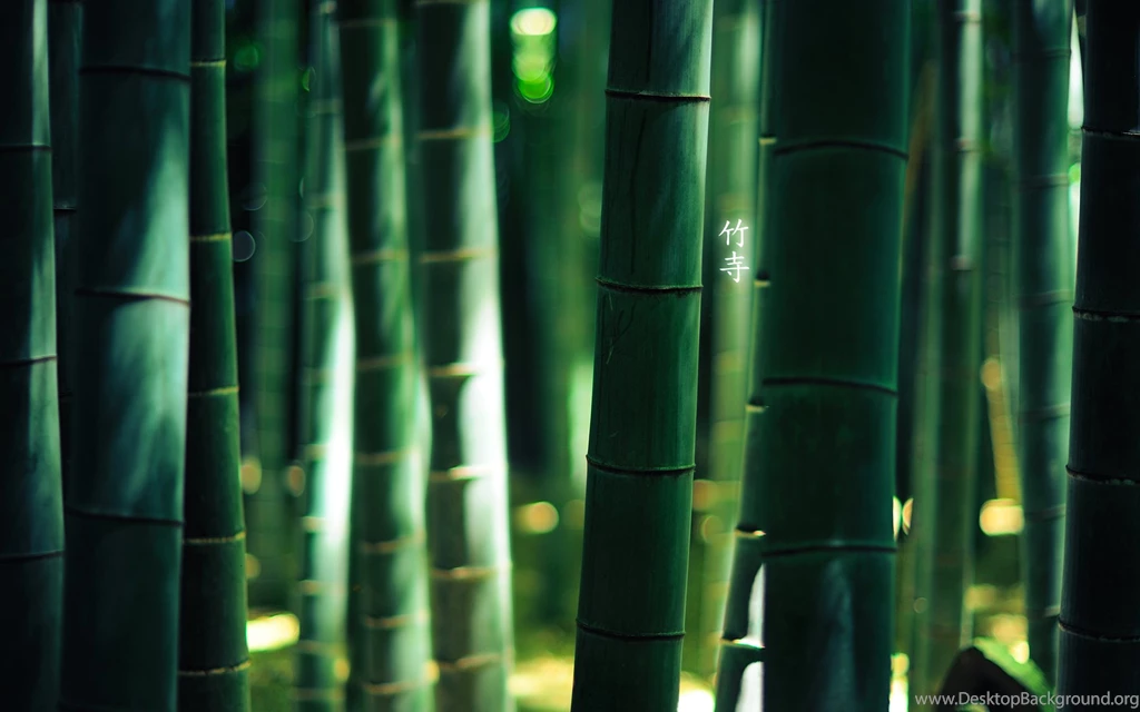 Nature Wallpaper: Bamboo Forest Wallpapers 1080p HD Backgrounds ...