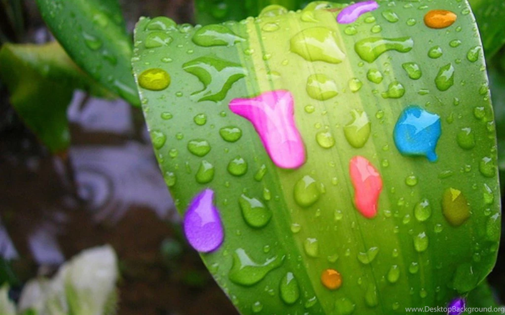 50 Shades Of COLOR! On Pinterest