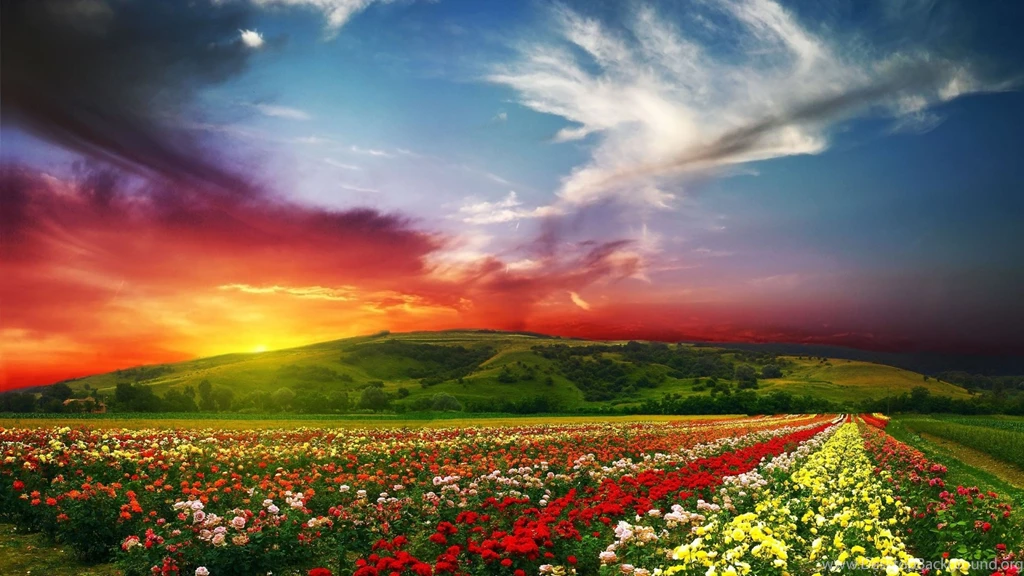 HD Great Flower Garden Computer Wallpapers Full Size ...