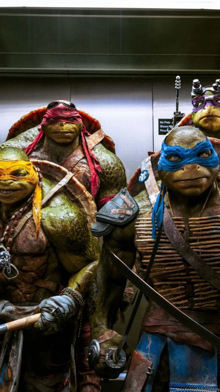 HD Crazy Honeymoon Ideas iPhone 6 Plus Backgrounds Download ...