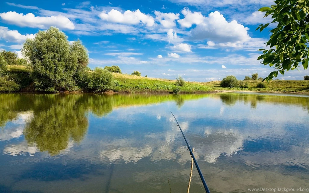 Fishing Wallpapers