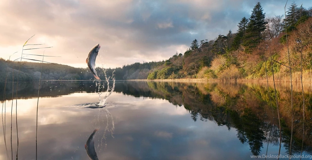 Fishing Desktop Pics Wallpapers 17478 Amazing Wallpaperz