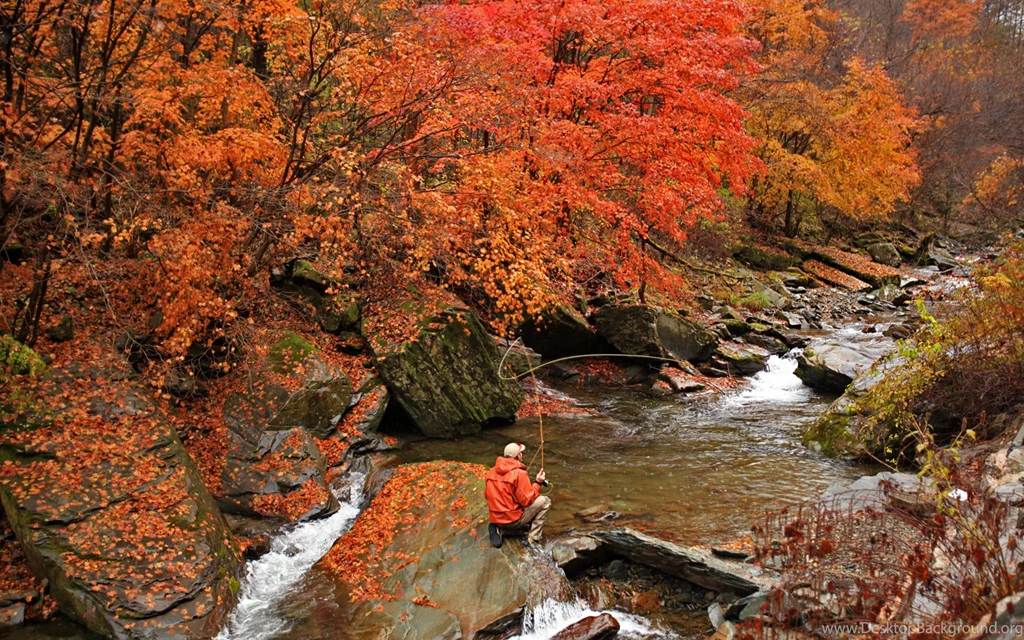 Cool Fly Fishing Computer Wallpapers, Desktop Backgrounds