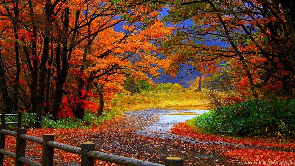 Autumn Computer Wallpapers, Desktop Backgrounds