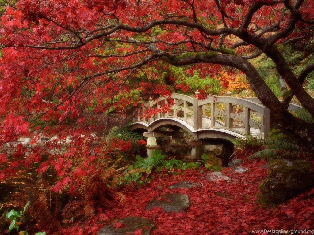 Fall Wallpapers