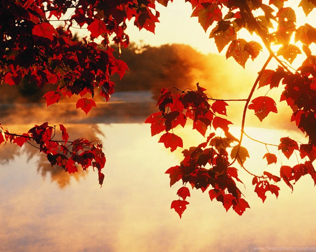 Autumn Wallpapers