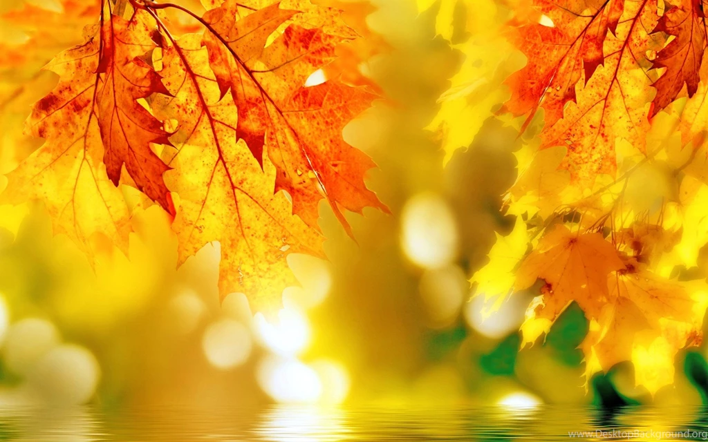Autumn Wallpaper Backgrounds Download AtozWallpapers