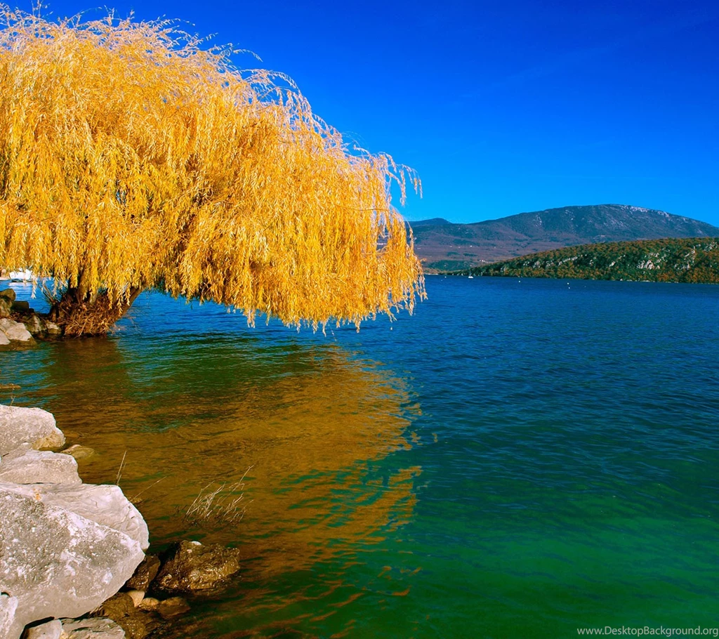 Samsung Galaxy S3 Wallpapers