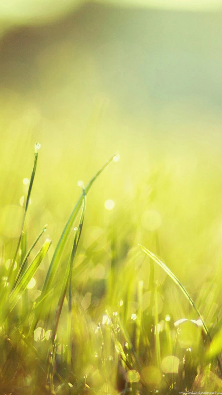 Green Grass Backgrounds 720x1280 Samsung Galaxy S3 Wallpapers ...