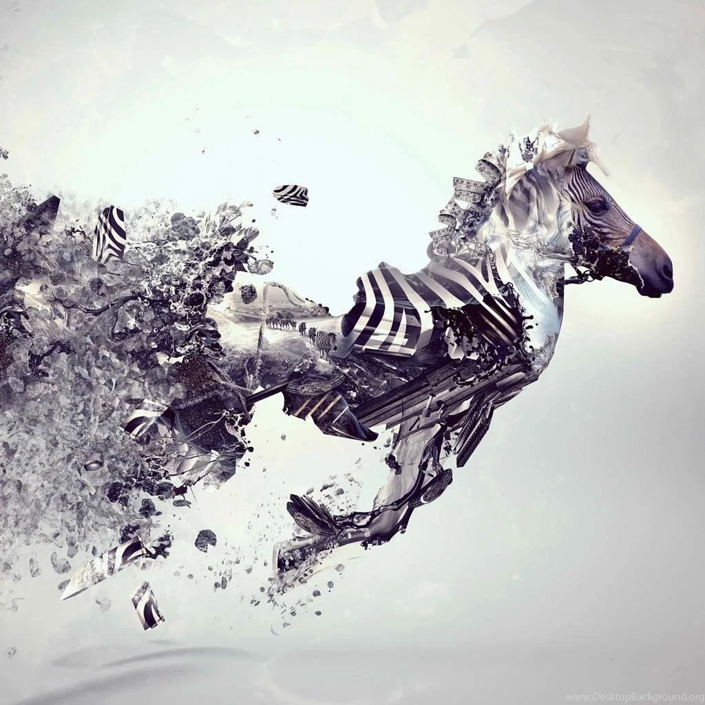 Cool Zebra iPad Wallpaper!