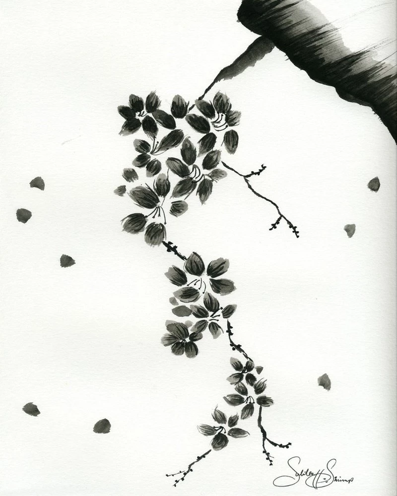 Sumi e Cherry Blossoms By SubtleShrimp On DeviantArt