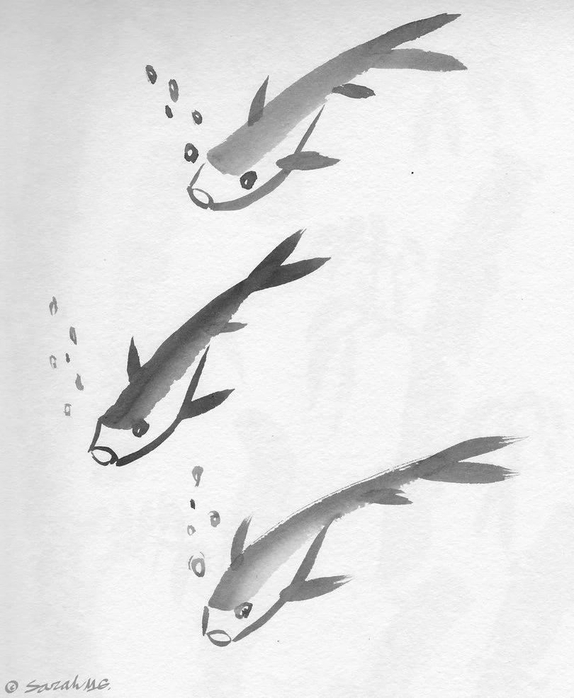 Sumi e Fish. By CorNocte On DeviantArt