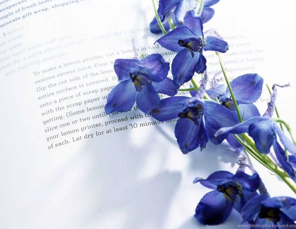 Iris Flower Book Reading