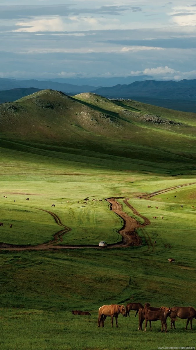 Home Screen Wallpapers For Android   Wallpapers