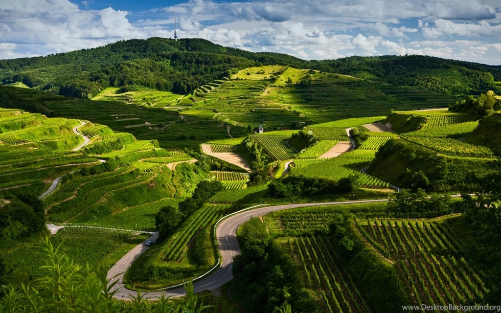 Wallpapers HD Nature For Windows 8 Best HD Desktop Wallpapers ...