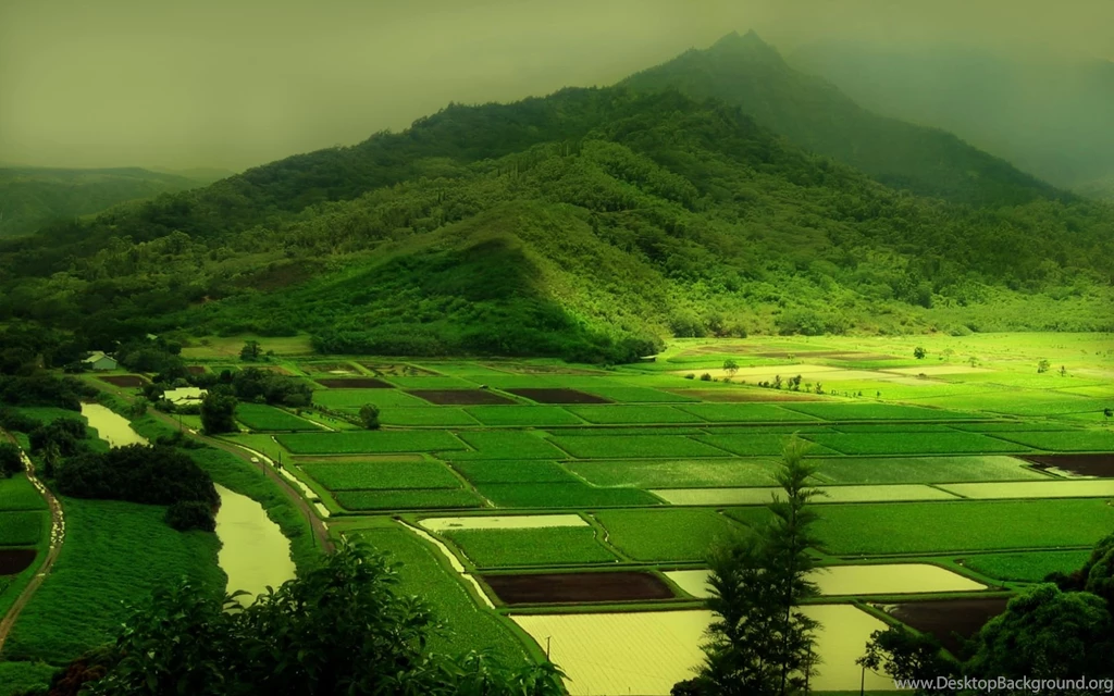 Rural Farm Landscape Desktop Wallpapers Free