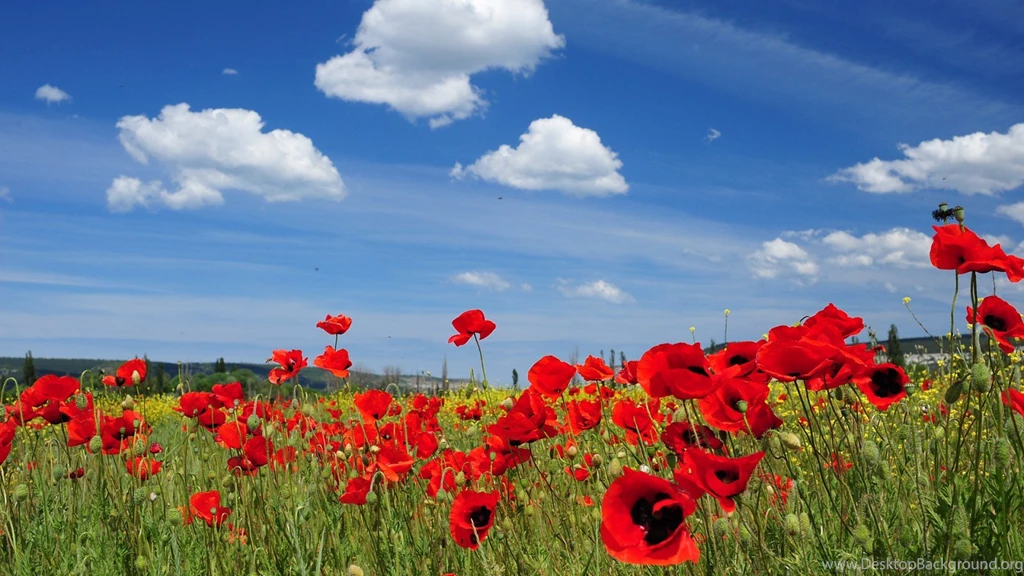 Desktop Nature Wallpapers Full Size