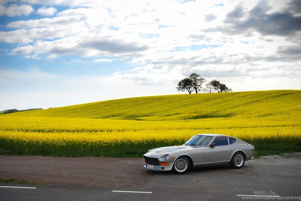 Datsun   The Car Wallpapers Mania Wiki   Wikia