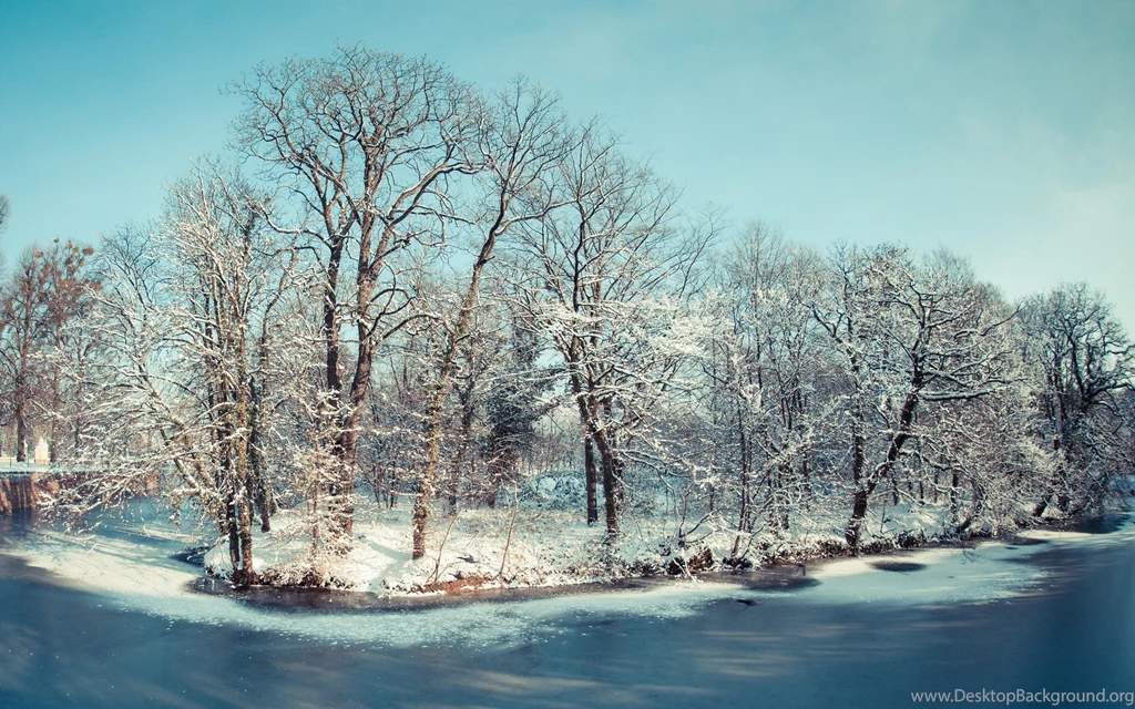 Pretty Nature Wallpapers