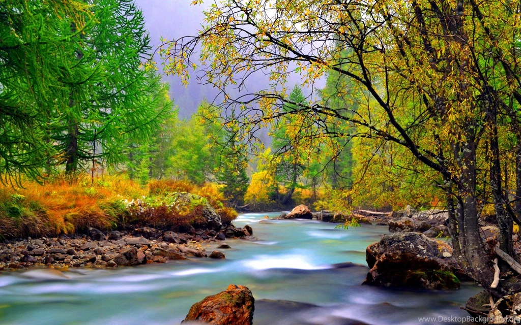BEAUTIFUL NATURE WALLPAPER (