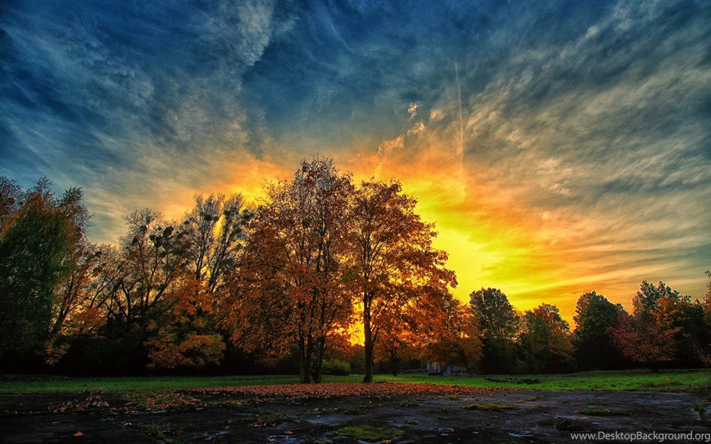 Autumn Sunset Colorful Trees Nature HD Wallpapers