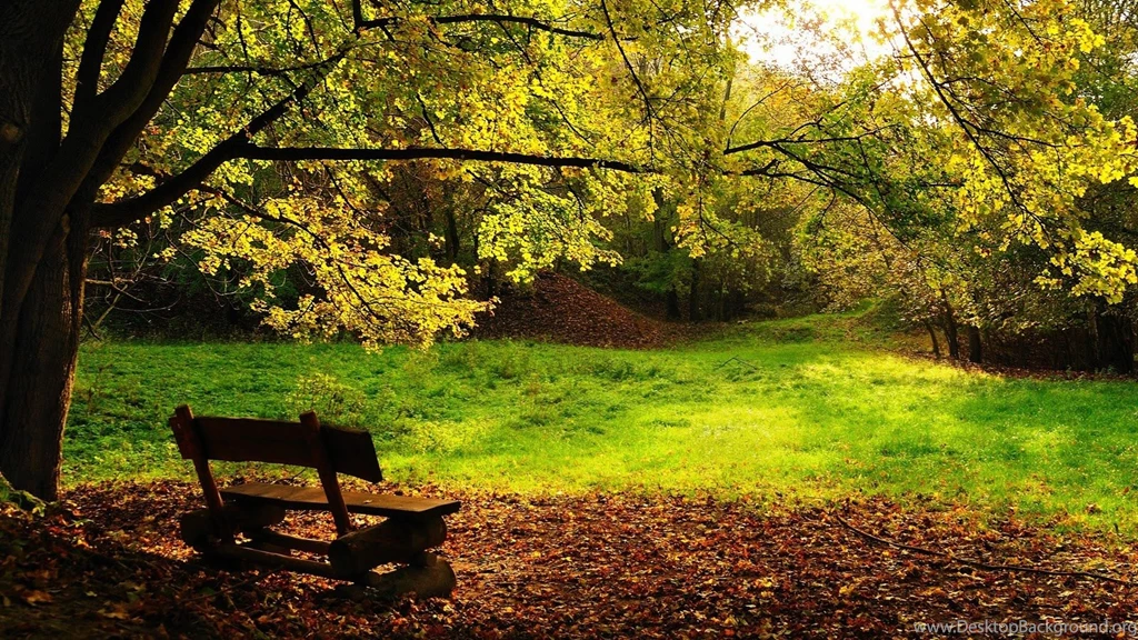 Fall Backgrounds Hd