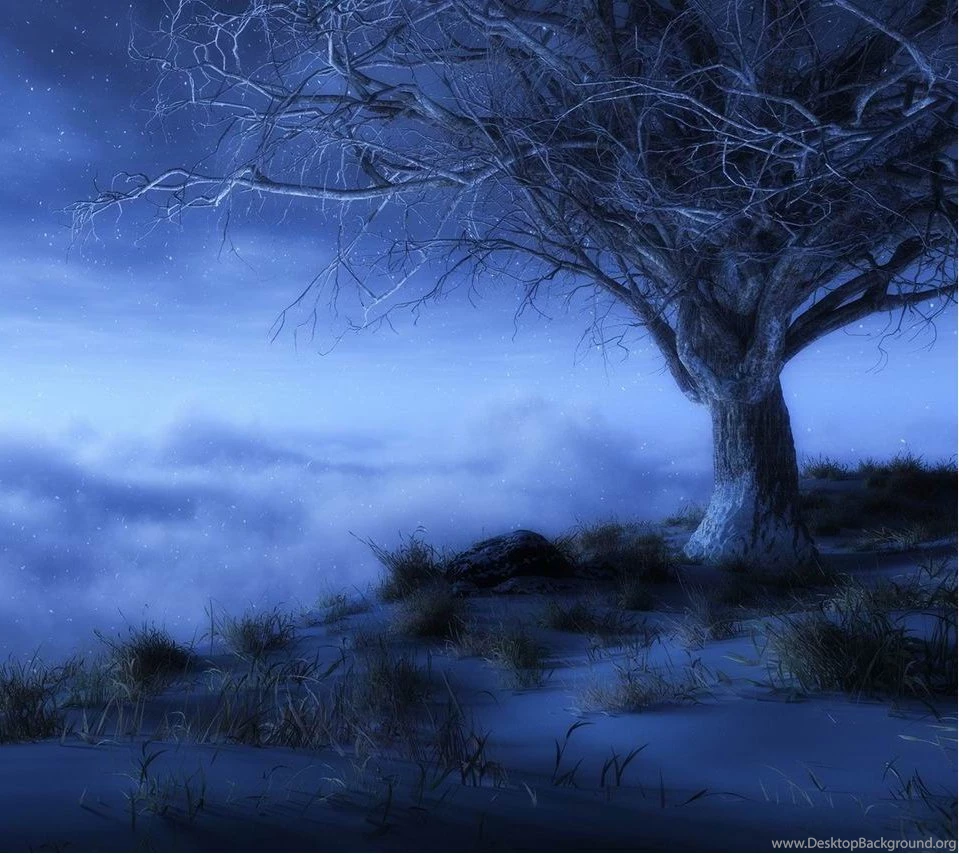 Wallpapers Hd For Android Phone